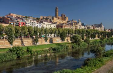 pintores en lleida